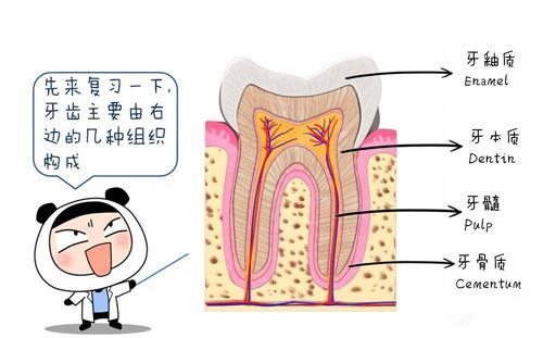 美白剂原理是什么_橙剂是什么